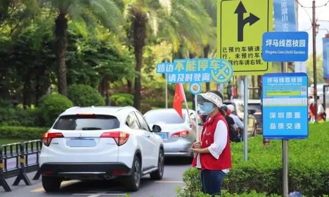 预约！绿色！有序！国庆假期，这样“畅”游马峦山