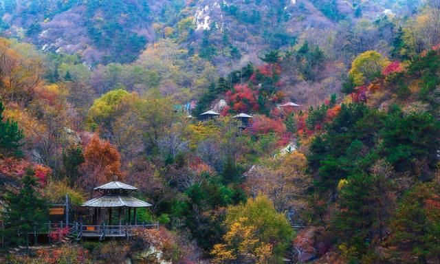 天津十大避暑旅游景点，夏天旅游凉快的地方，周边一日游好去处