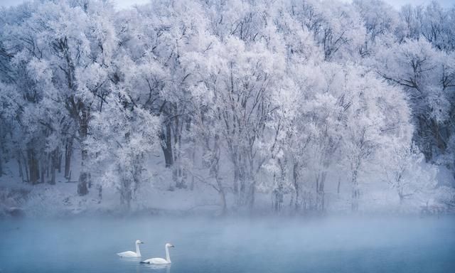 冬日限定童话！国内这6个天鹅湖绝对是冬天值得一去的仙境，收藏